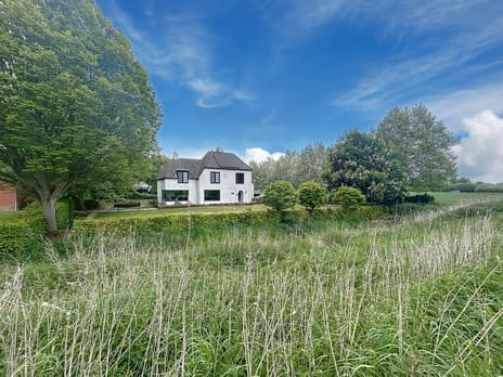 Sasdijkweg thumbnail