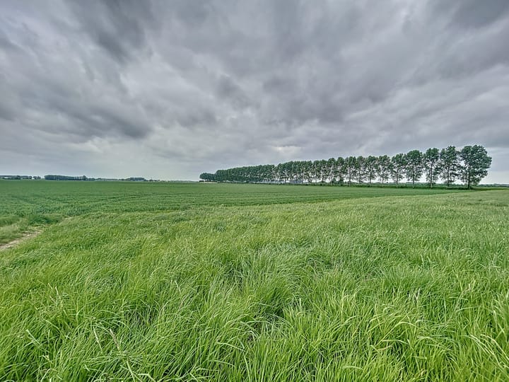 Photo 33 of Sasdijkweg 3