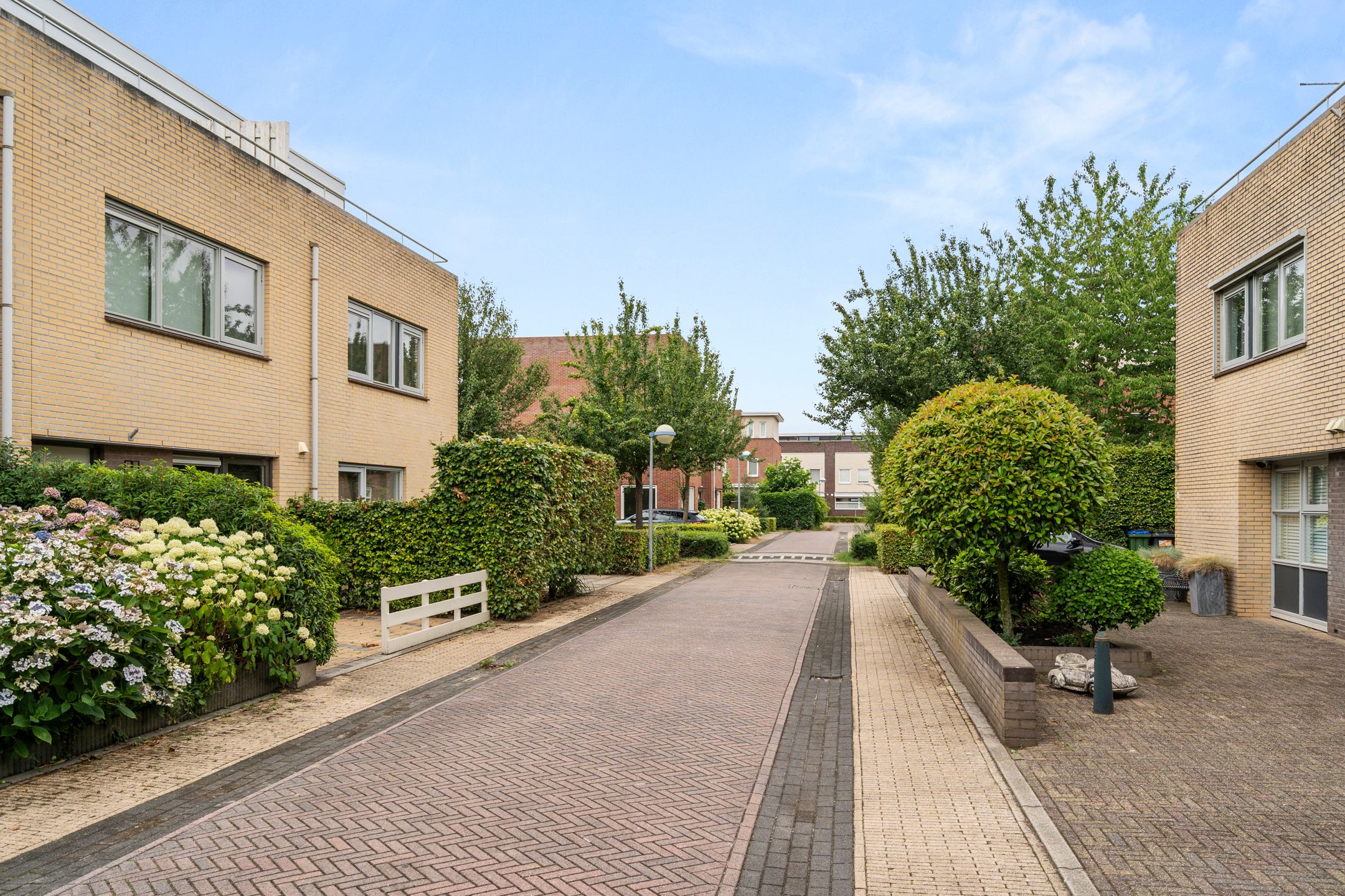 Foto 3 van Laantje van Erik 5