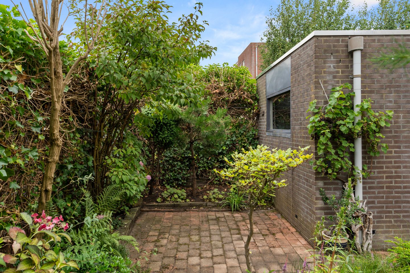 Foto 35 van Laantje van Erik 5