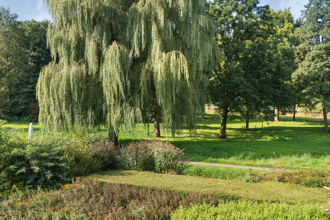 Foto 22 van van Gelderplantsoen 20