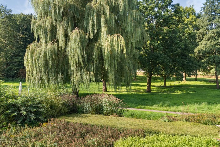 Foto 22 van van Gelderplantsoen 20