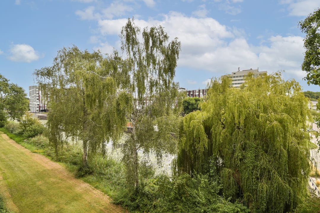 Foto 11 van Frieslandstraat 189