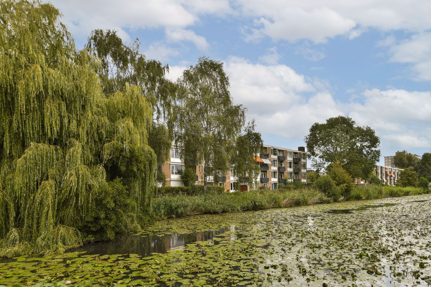 Foto 25 van Frieslandstraat 189