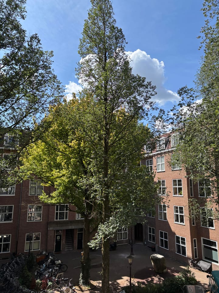 Photo 10 of Zocherstraat 40-2