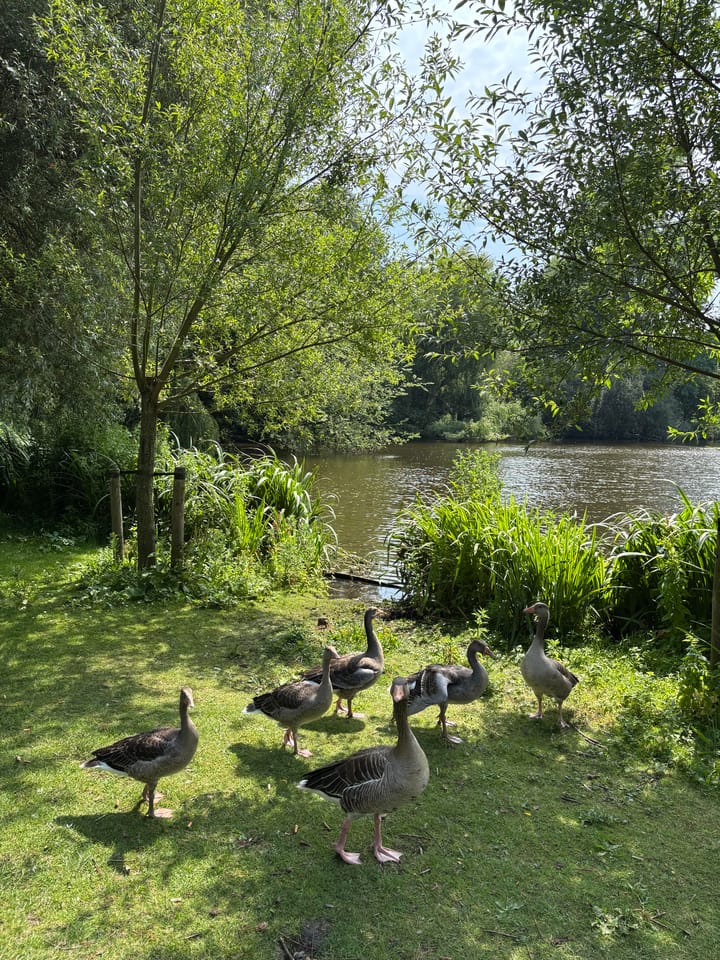 Photo 21 of Zocherstraat 40-2