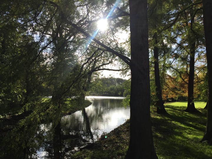 Photo 22 of Zocherstraat 40-2