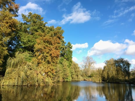 Zocherstraat 40-2 secondary image