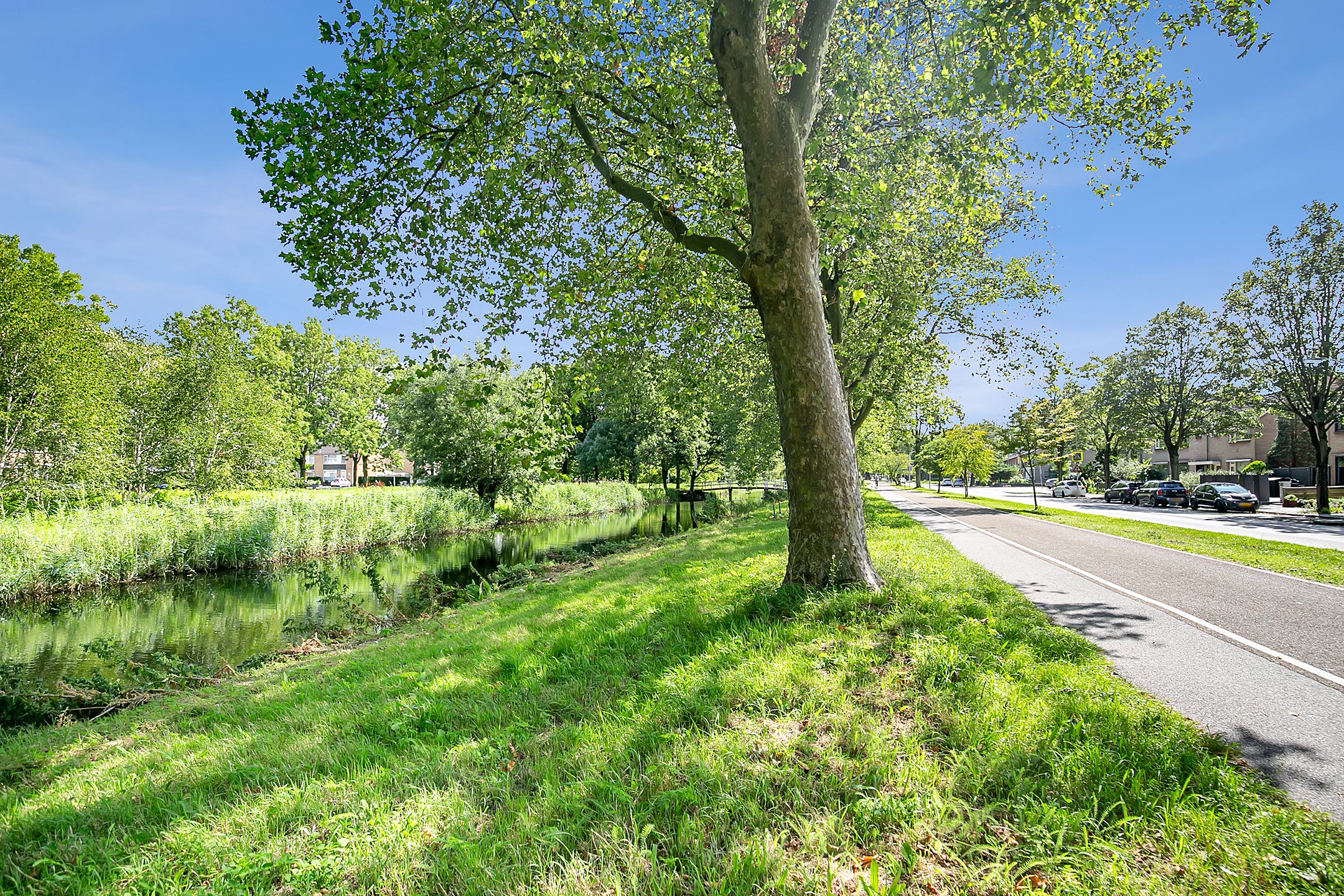 Photo 42 of De Weer 106