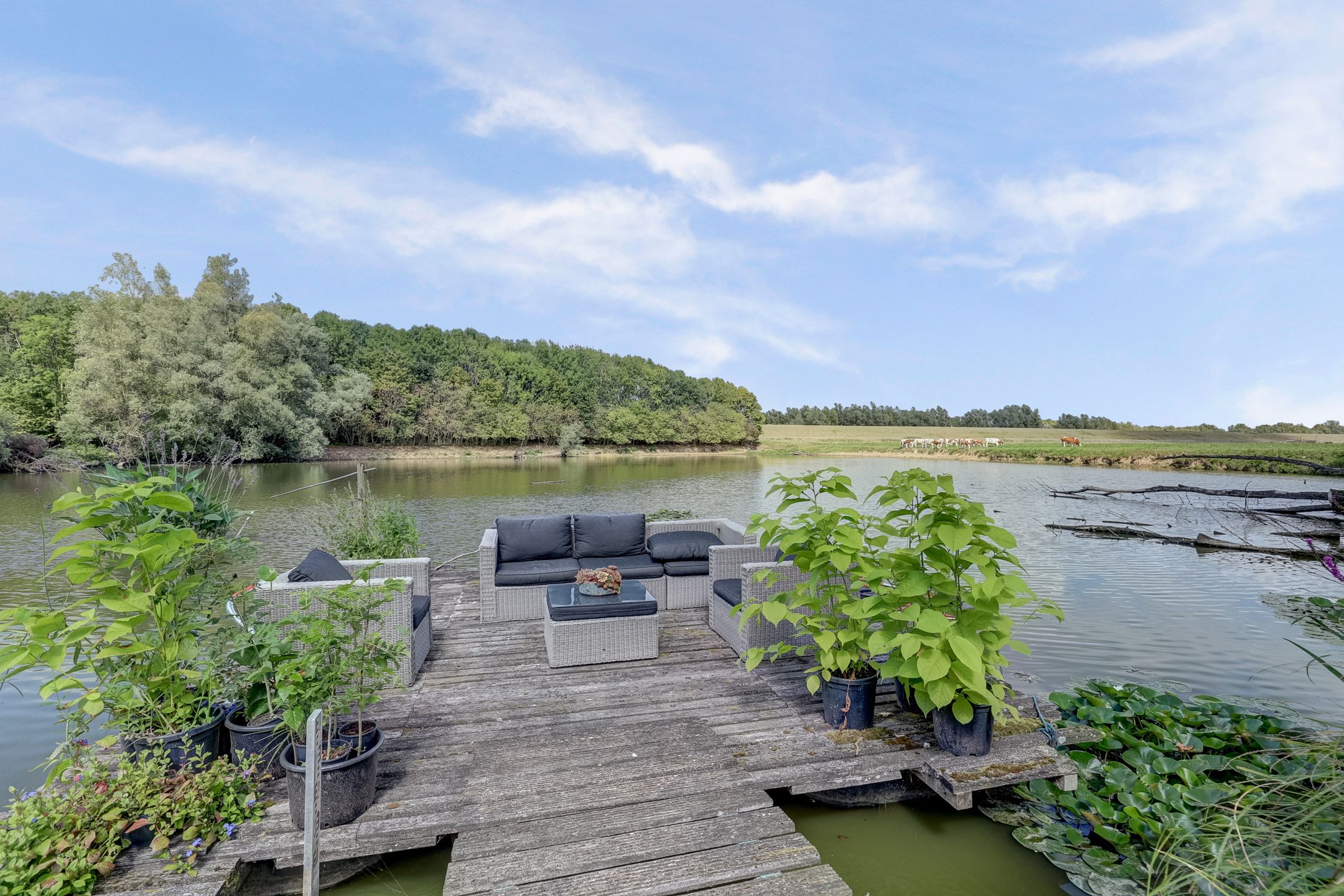 Foto 3 van Waalbandijk 62