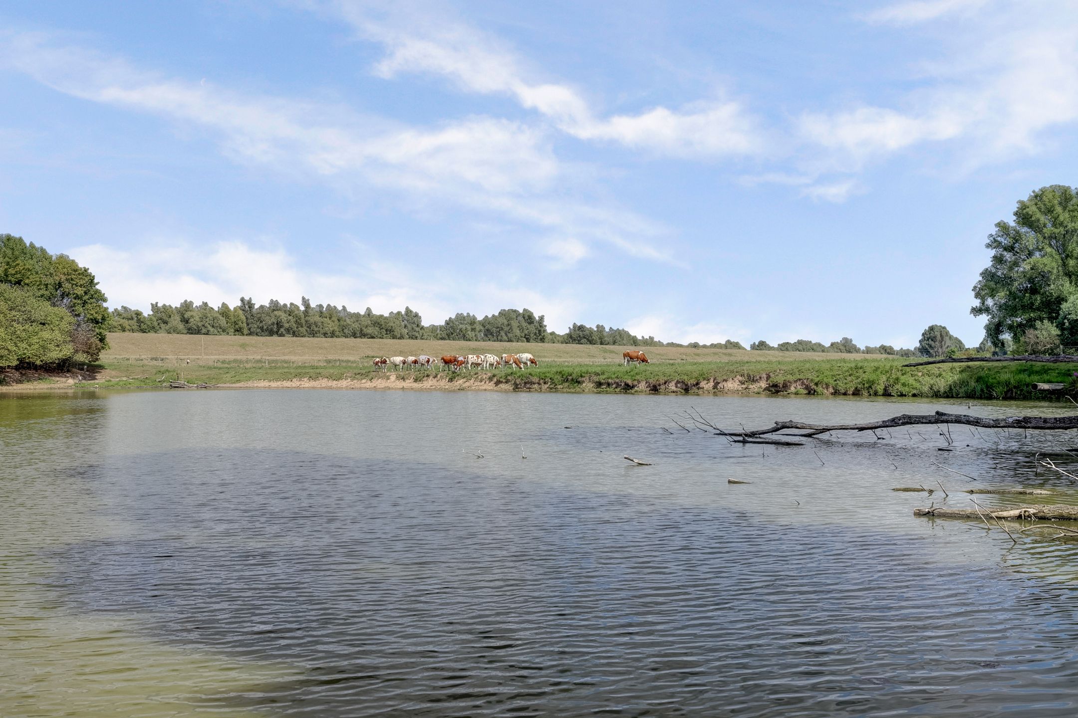 Foto 15 van Waalbandijk 62