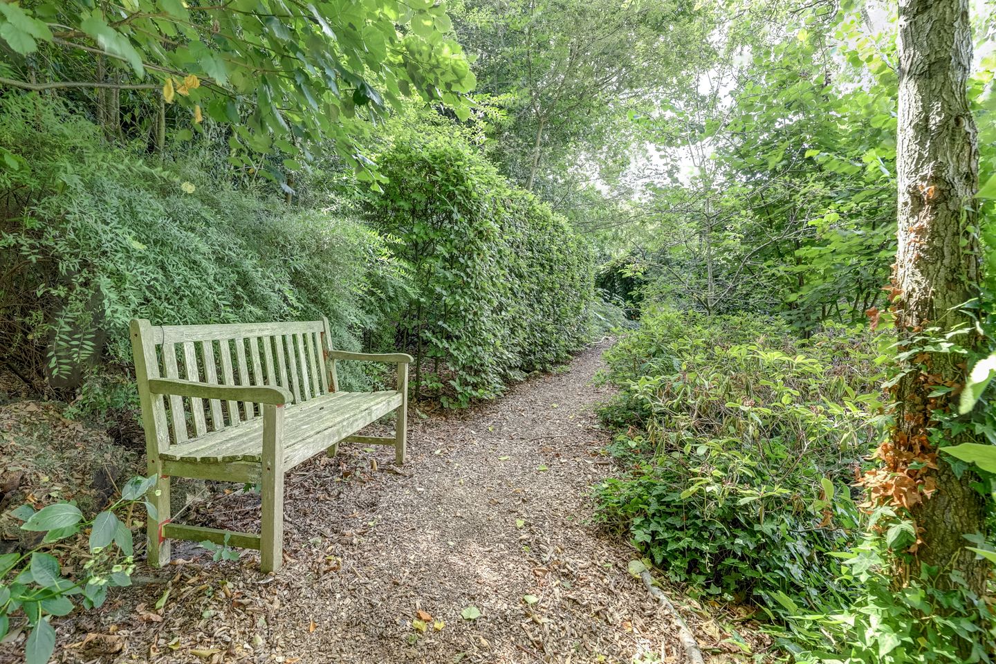 Foto 70 van Waalbandijk 62