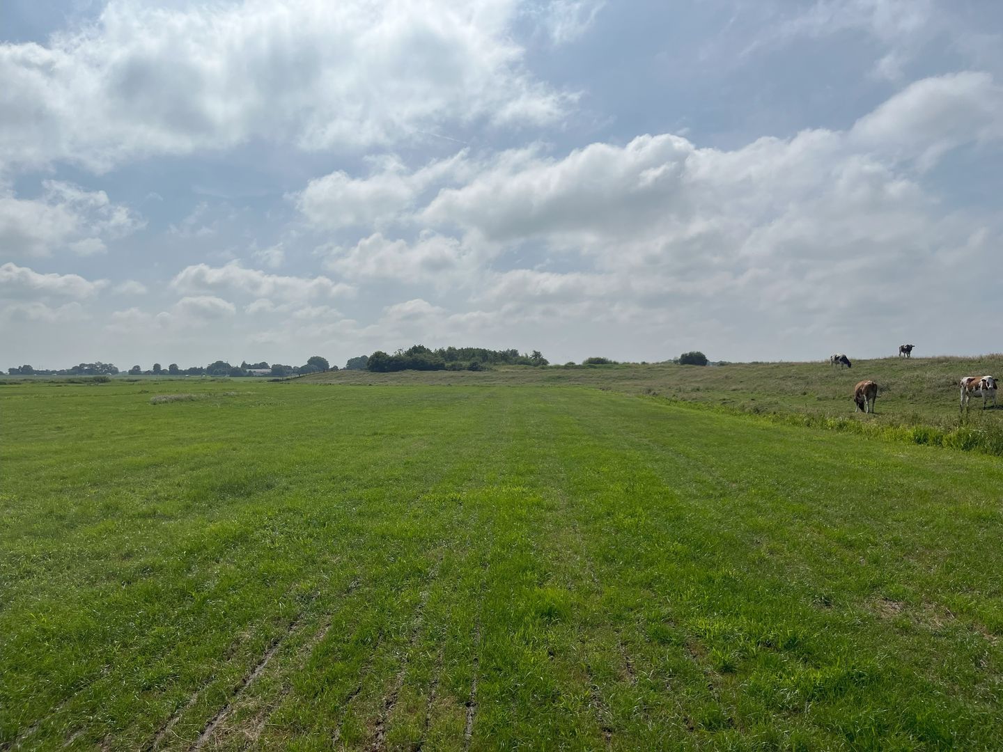 View photo 1 of Oudendijkseweg