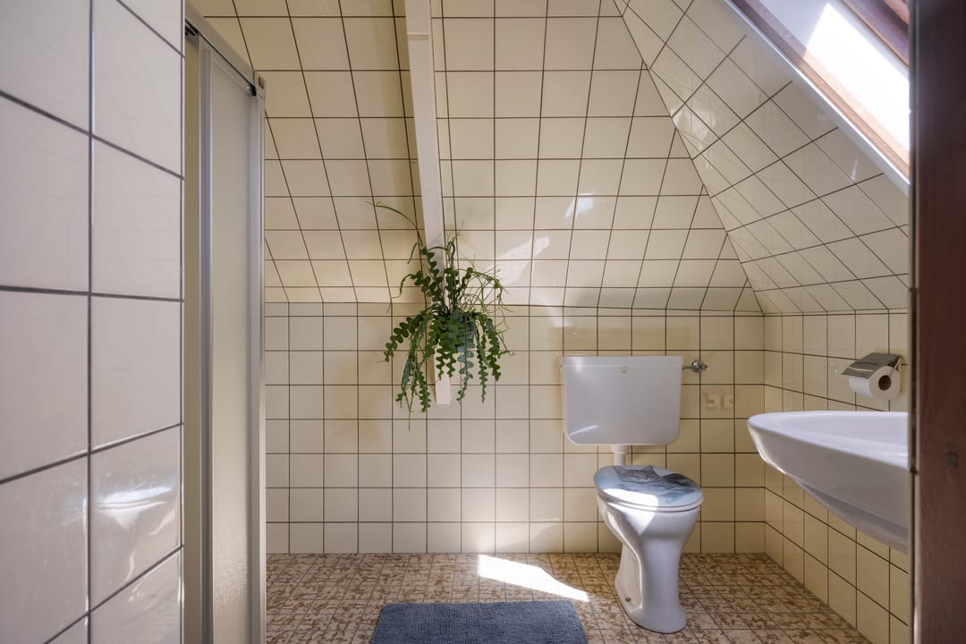 Foto 32 van Zegerijstraat 22