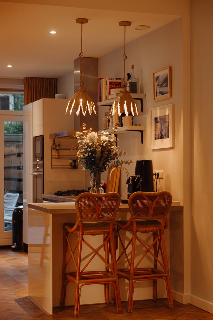 Foto 9 van Van Oldenbarneveldtstraat 13-BH