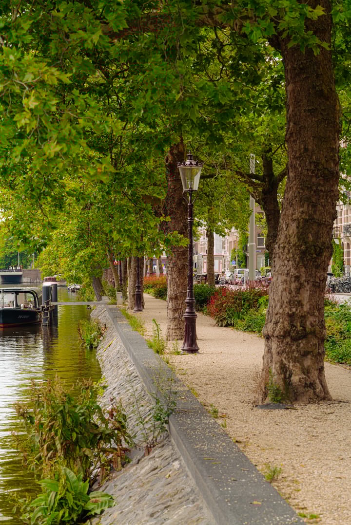 Foto 27 van Van Oldenbarneveldtstraat 13-BH