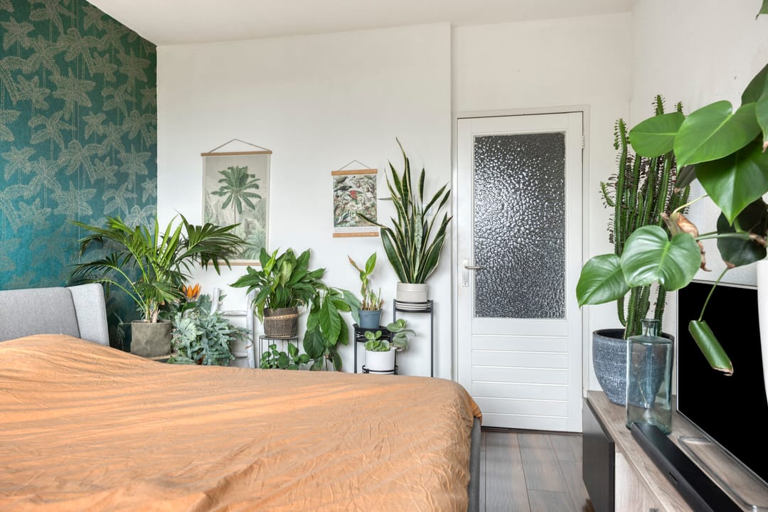 Foto 17 van Fluitekruidweg 117