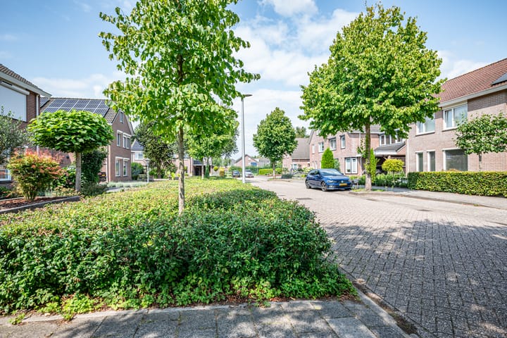 Foto 10 van Stegemanserf 3