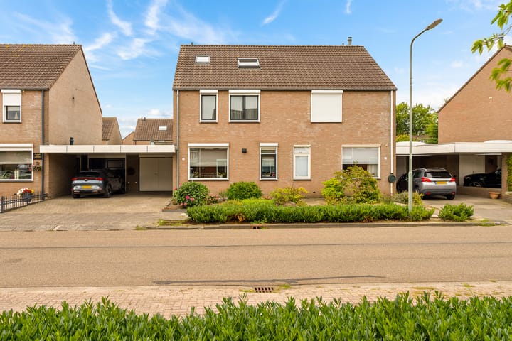 Foto 2 van Lisdodde 8