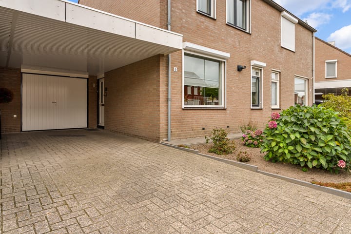 Foto 3 van Lisdodde 8