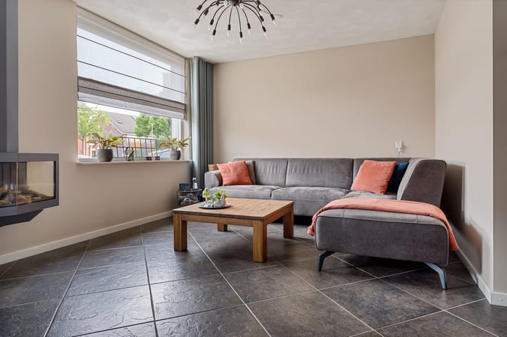 Foto 6 van Lisdodde 8