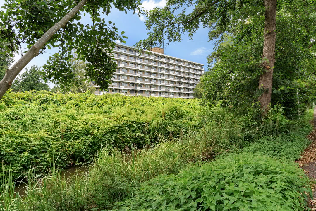 Photo 1 of Elzenhorst 47