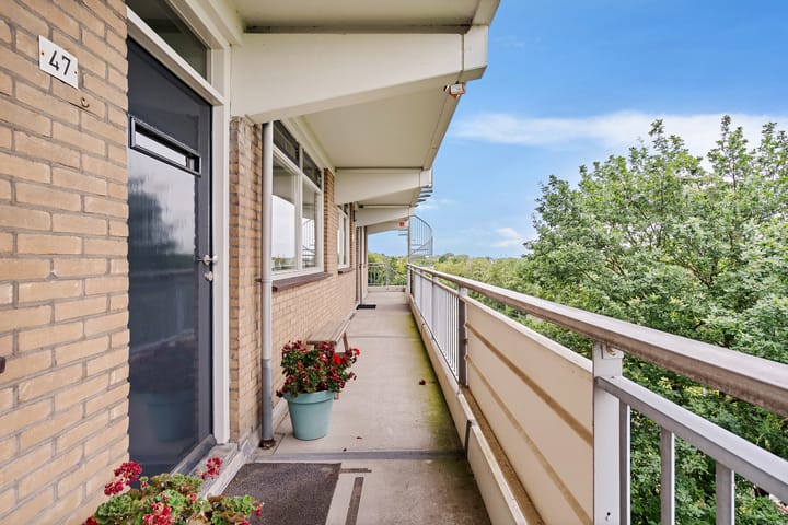 Foto 3 van Elzenhorst 47