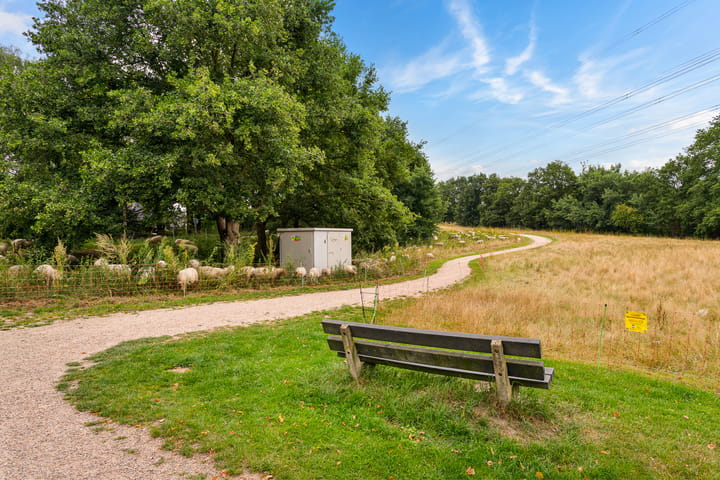 Foto 50 van Lisdodde 8