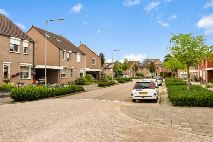 Foto 52 van Lisdodde 8