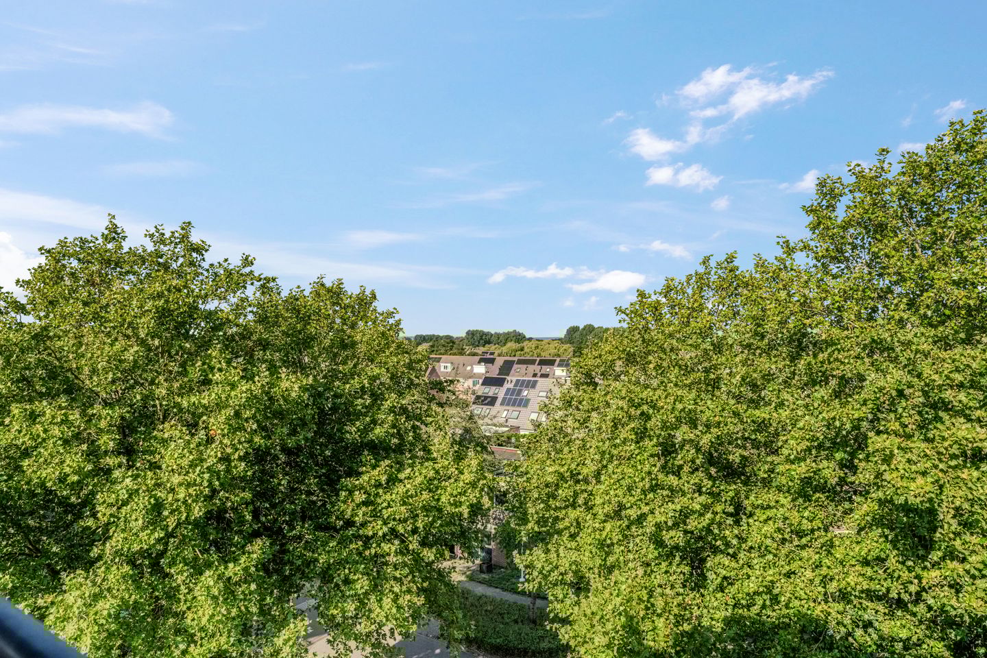 Foto 25 van Washingtondreef 36