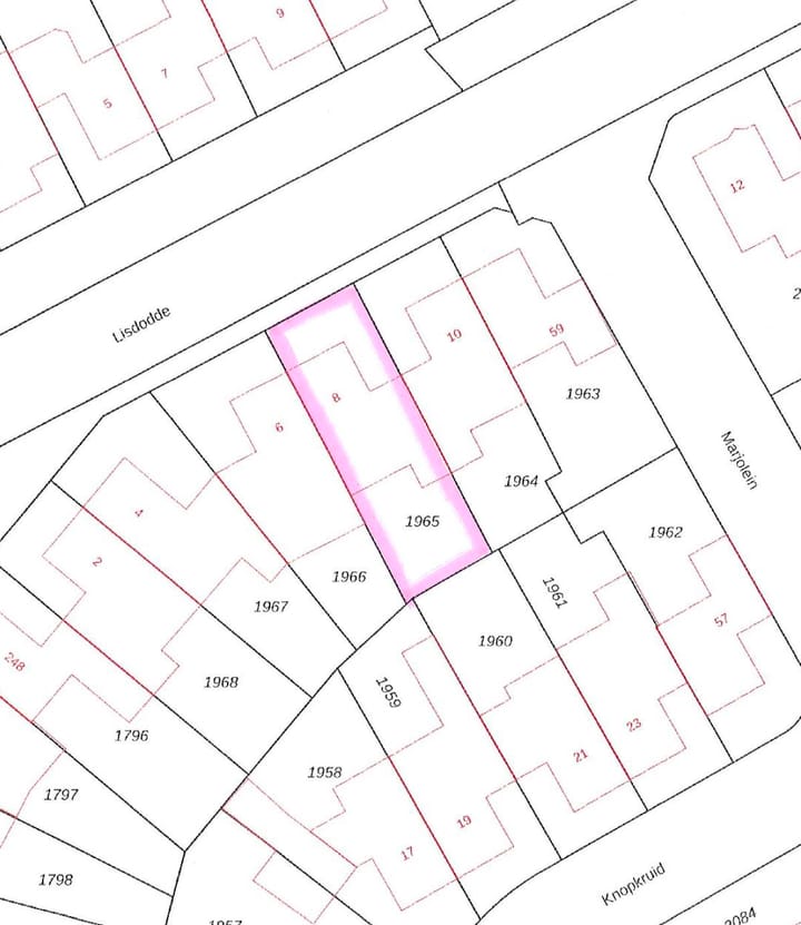 Foto 54 van Lisdodde 8