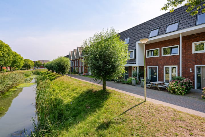 Foto 3 van Bundelzwam 28