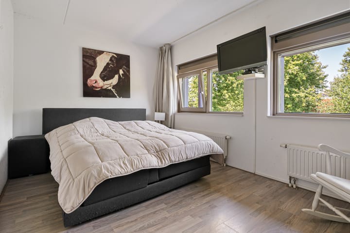 Foto 12 van Bundelzwam 28