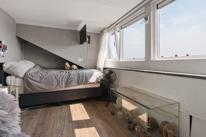 Foto 20 van Bundelzwam 28