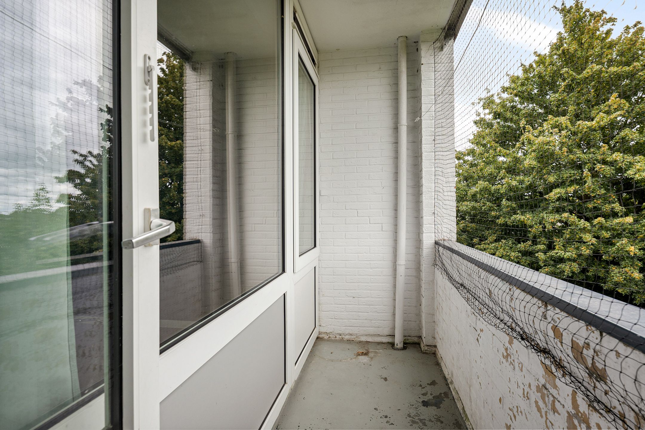 Foto 36 van Thorbeckelaan 144