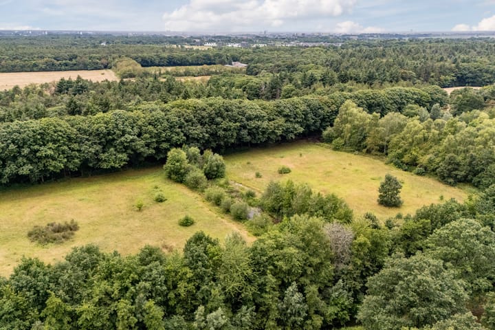 Foto 87 van Van Leeuwenhoeklaan 31