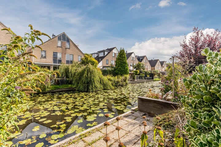 Foto 2 van Grote Boterbloem 81