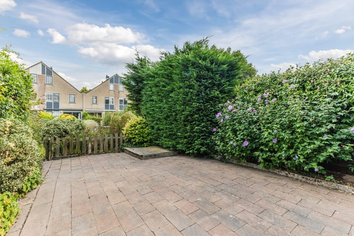 Foto 3 van Grote Boterbloem 81