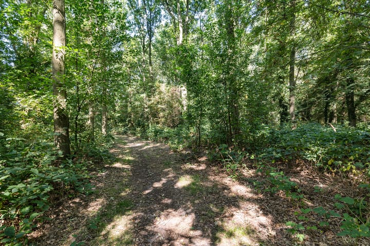 Foto 41 van Roswinkelerkanaal NZ 29-A