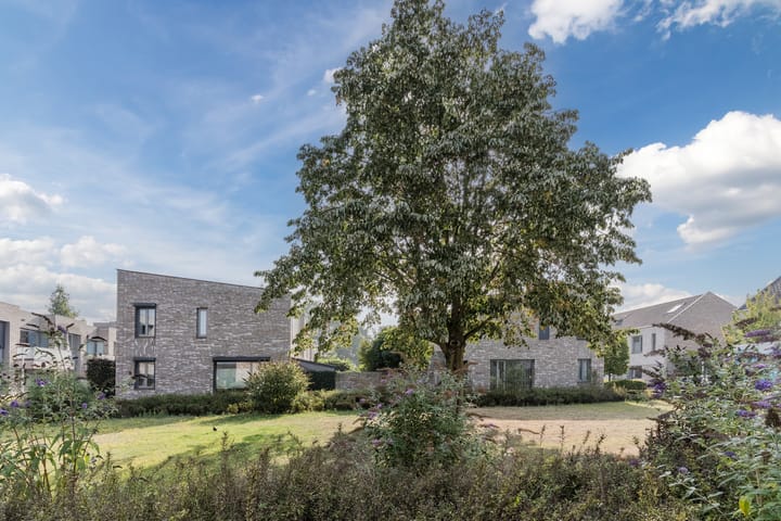 Foto 41 van Oliemolen 5