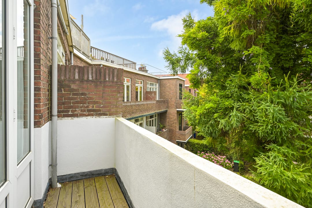 Foto 43 van Van Alkemadelaan 28