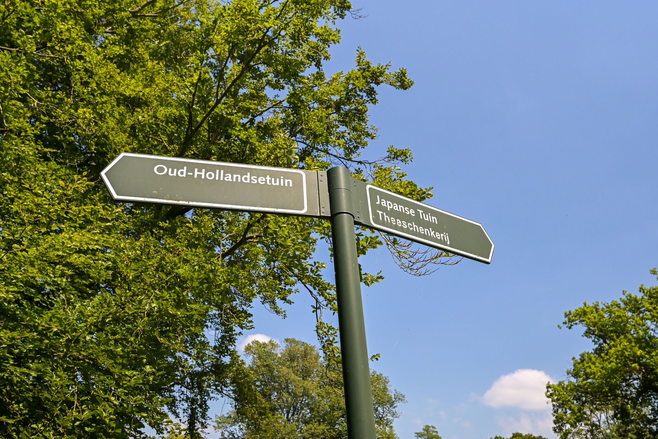 Foto 60 van Van Alkemadelaan 28