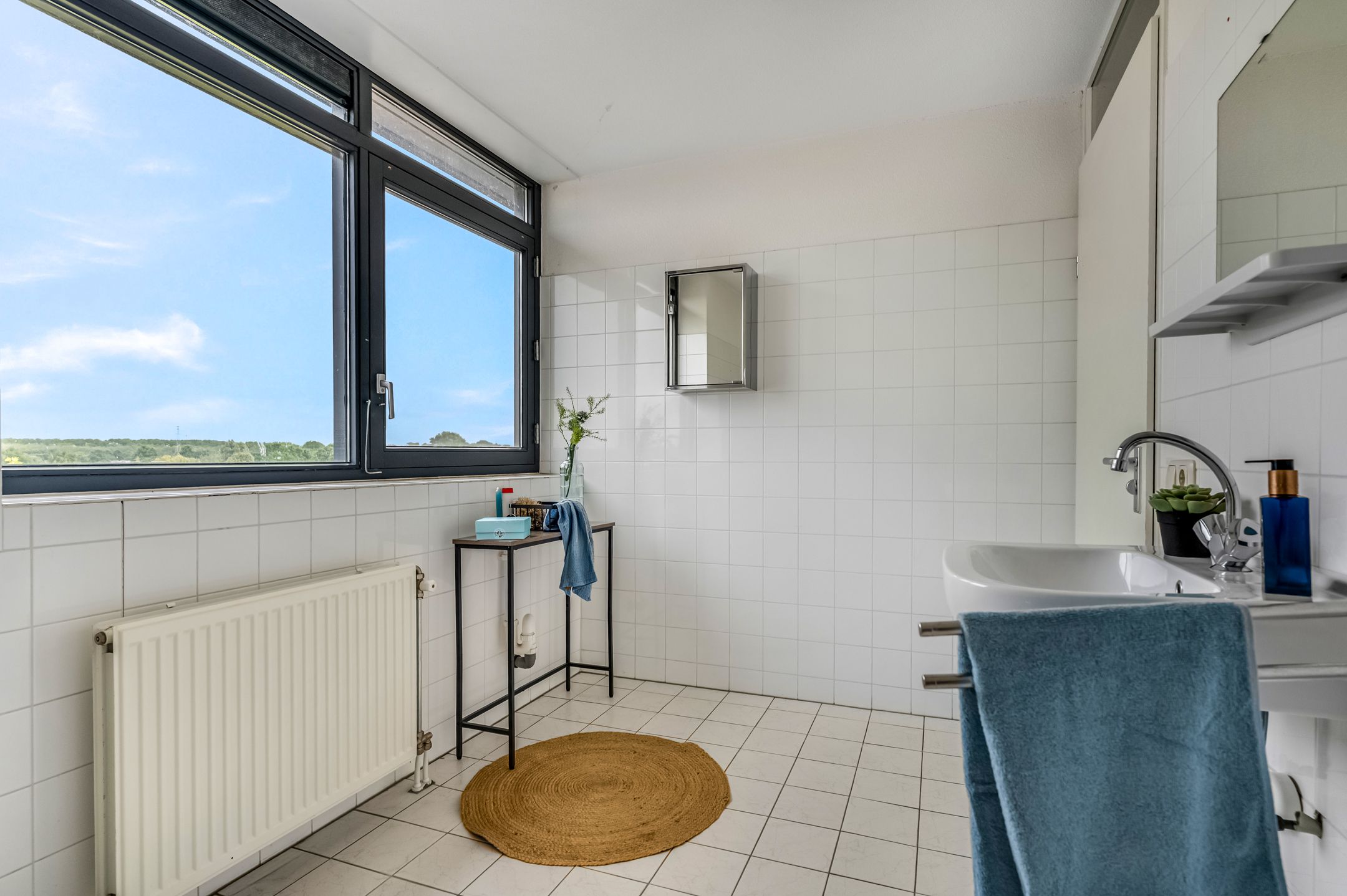 Foto 30 van Leuvensbroek 1109