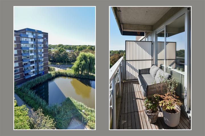 Foto 2 van Bijvoet 62