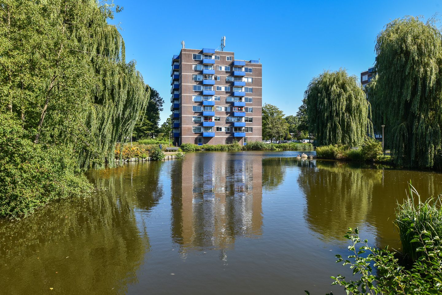 Foto 20 van Bijvoet 62