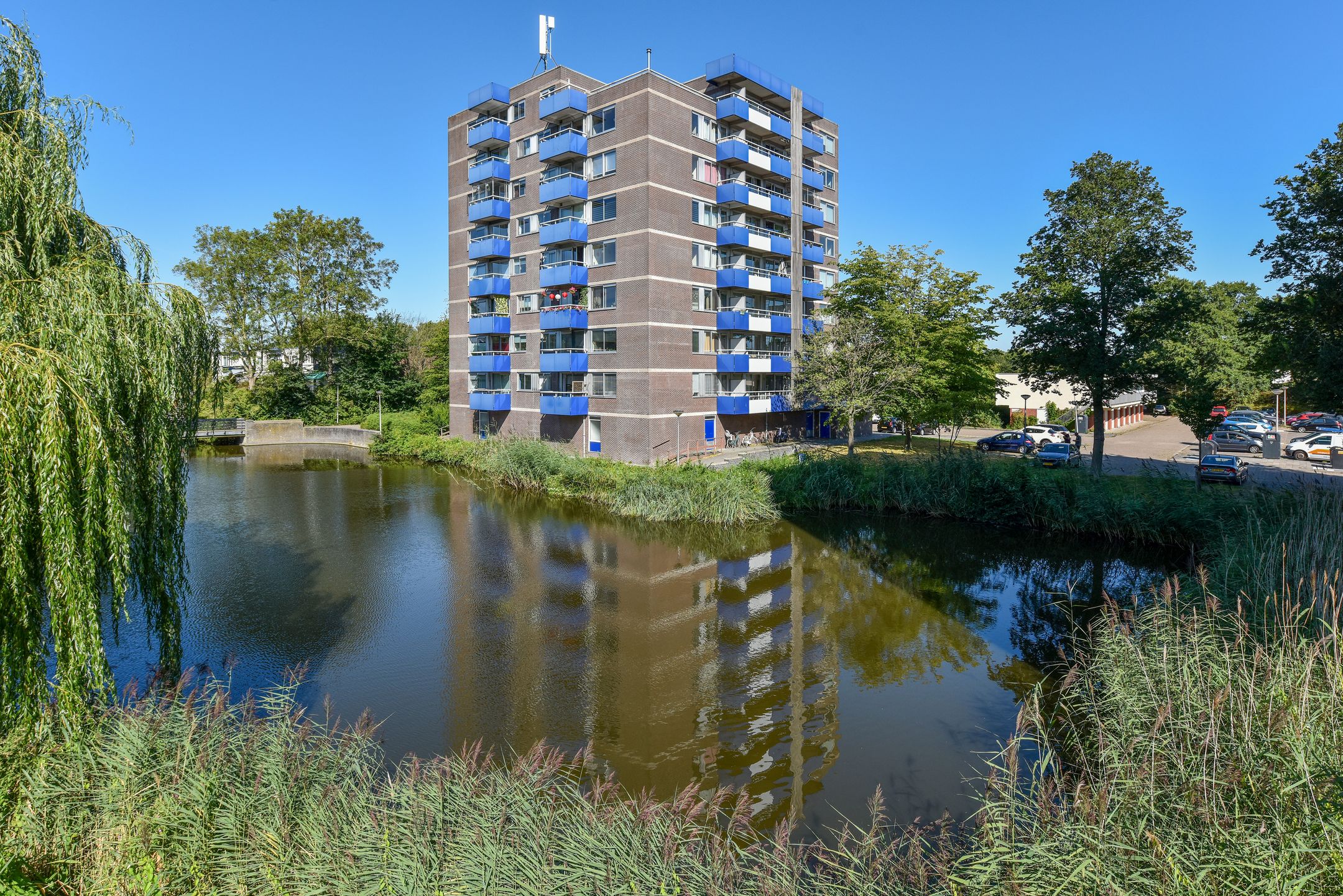 Foto 21 van Bijvoet 62