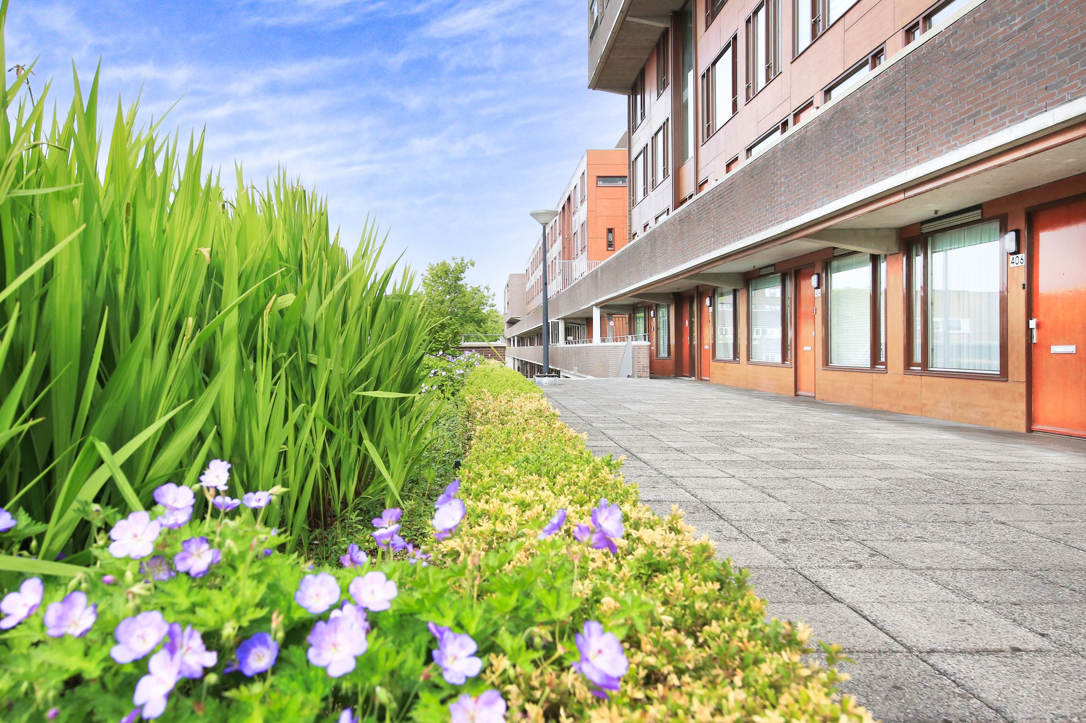 Foto 33 van Pieter Calandlaan 400