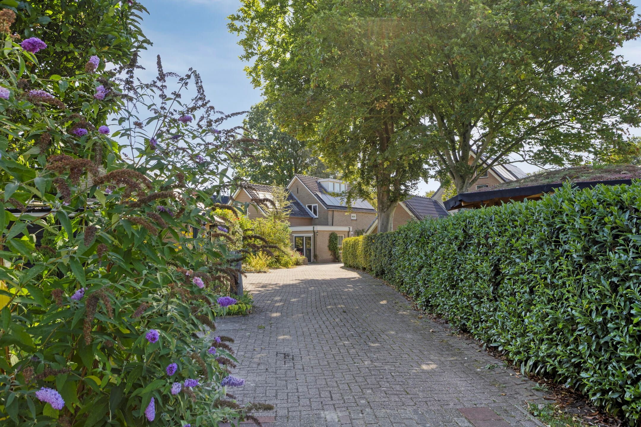 Foto 3 van Hessenweg 69