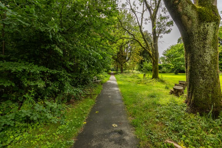 Foto 47 van Goeman Borgesiuslaan 72