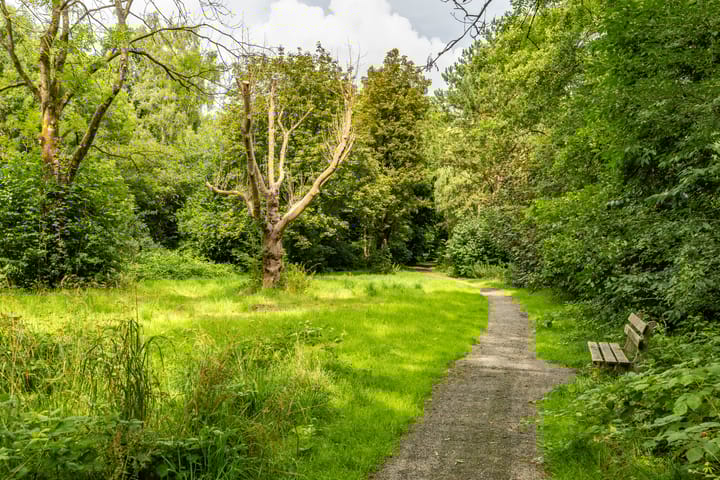 Foto 48 van Goeman Borgesiuslaan 72